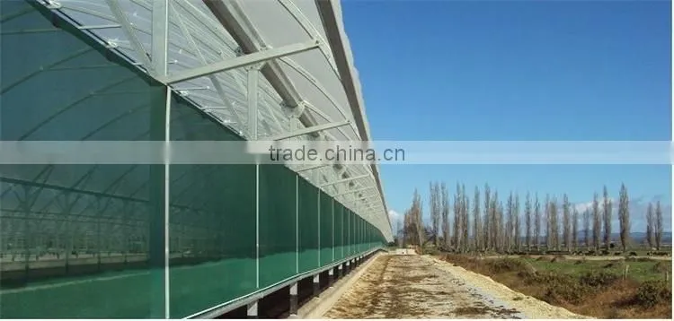 Factory Price Galvanized steel frame agricultural plastic green house