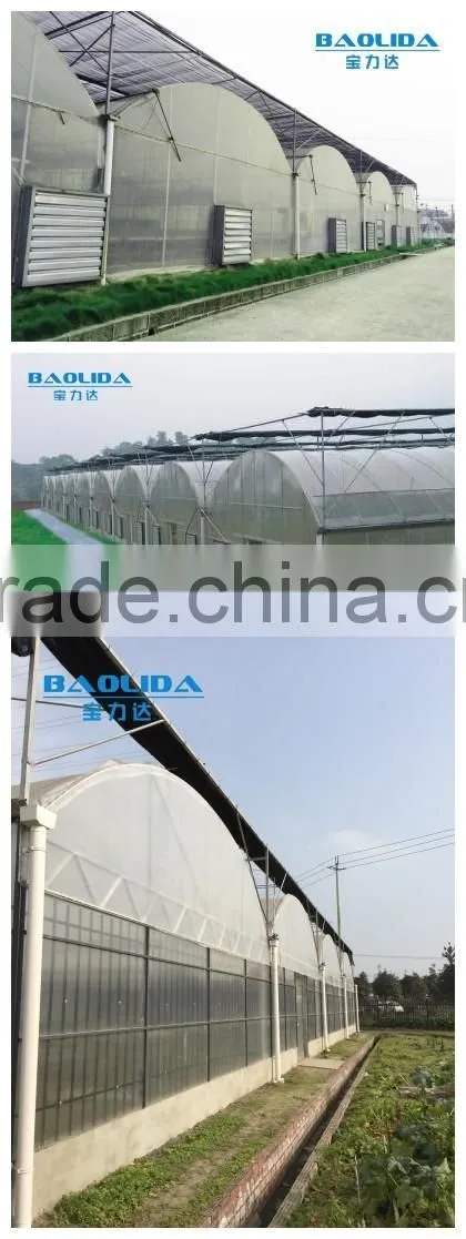 baolida multi-span greenhouse PE film green house used greenhouse for tomato