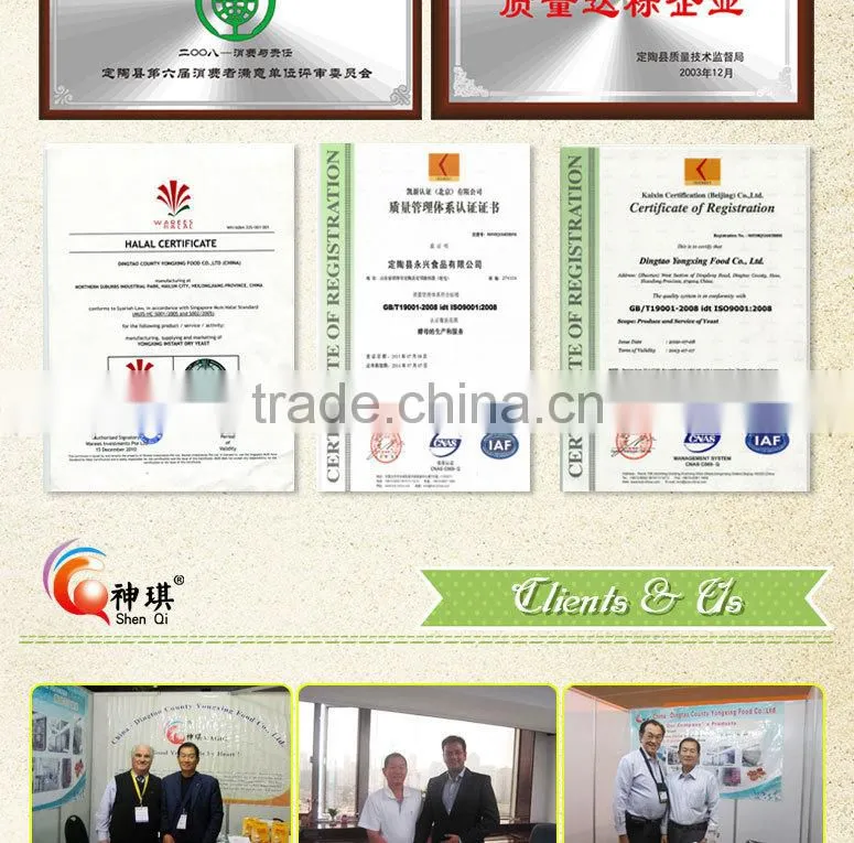 Baking powder manufacturer for bread