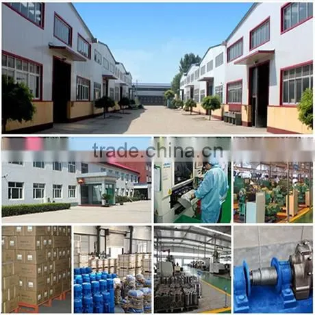Most popular good quality HSZ Chain Hoist
