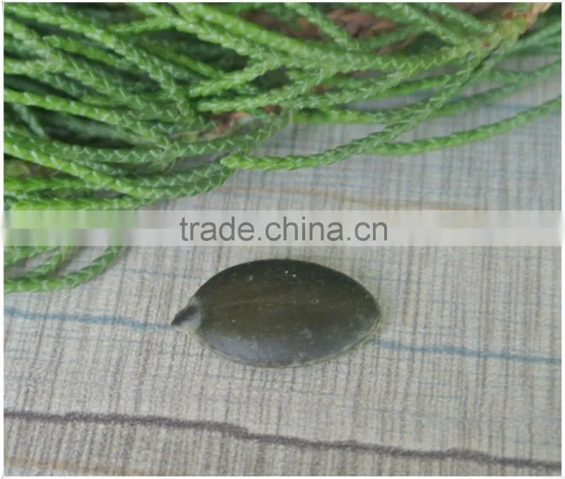 New Crop High Quality Wholesale Pumpkin Seeds /Dark Green Pumpkin Seeds