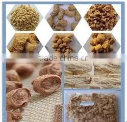 Soybean Protein Production Line With CE Certification