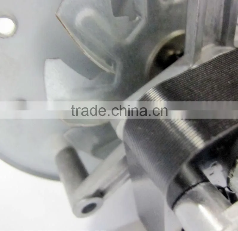 AC micro motor