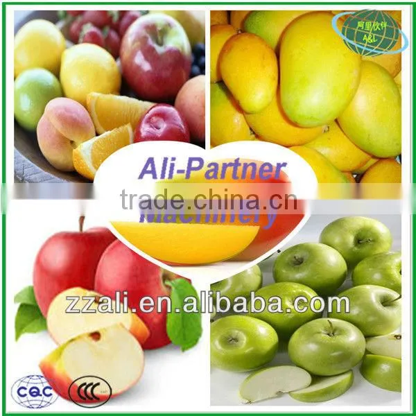Automatic fruit pear and mango crushing machine