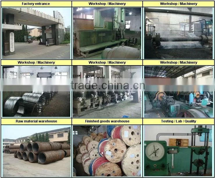 Galvanized Low Carbon Steel Wire for Communication Purpose