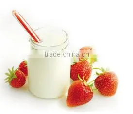 Hot sale milk pasteurizer machine
