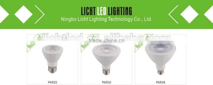 38 DEGREE LED PAR20 PAR30 PAR38 LED SPOTLIGHT