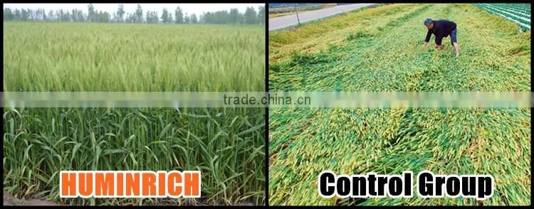 Huminrich 70%HA 25%FA 12%K2O Super Potassium Humate With Fulvic Acid