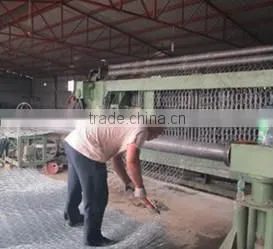 galvanized hexagonal gabion wire mesh/gabion protective mesh/gabion mesh roll