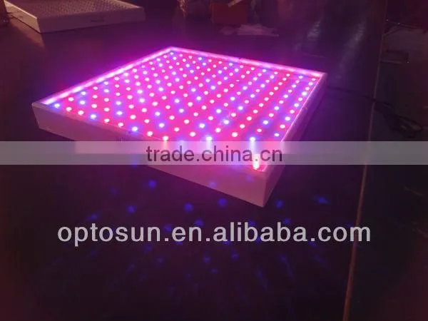 SMD 5050 led plant grow light strip
