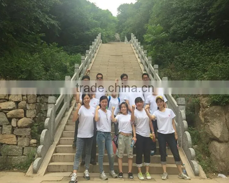 Large Diameter Spiral Submerged Arc Welded Steel Pipe