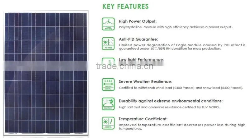 SunMaster 240w Poly Solar Panel SM240P