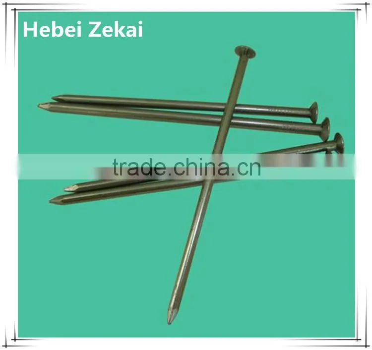 polished common round nails flat head factory price
