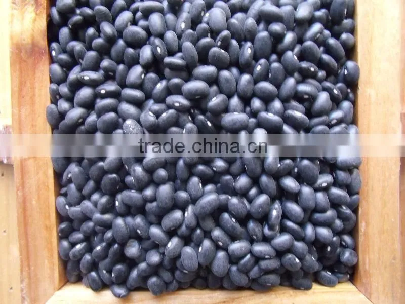 small black kidney bean /black bean price