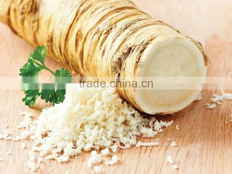 factory directly sale spicy horseradish powder
