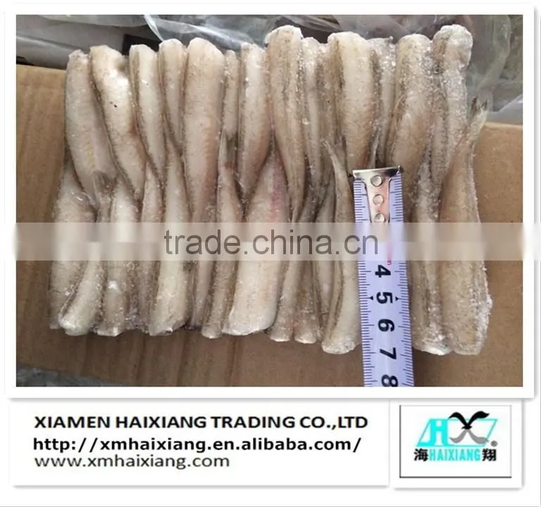 Frozen Silver Sillago fish
