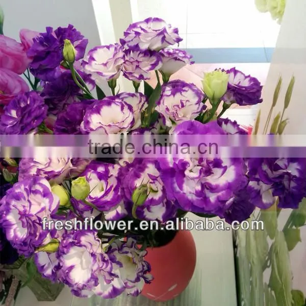 Fresh cut flowers named Eustoma