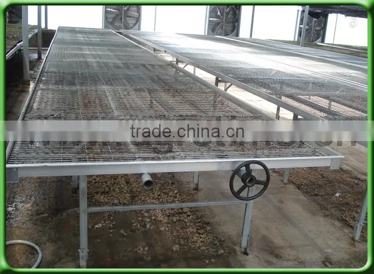 Design Benching System for seeds growth For agriculture
