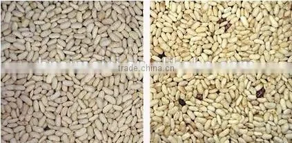 Belt Model Sorting Machine for Soybeans with Nikon Lens 0086 371 65866393