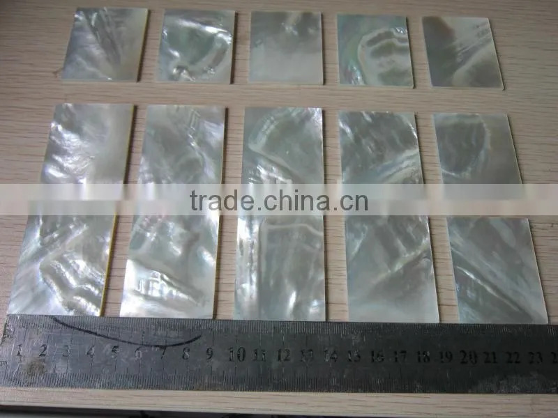 square cut thick abalone paua shell blank inlays