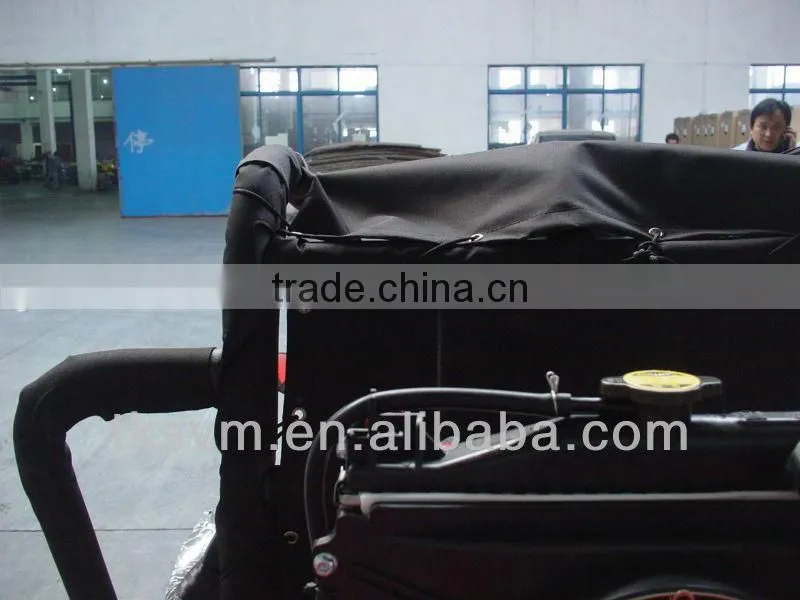 TK250GK-6 250cc Go Kart BUGGY