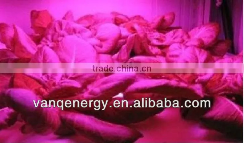 New technology ,200w integrated L.e.d . grow light for planter ,vegetables seeding ,clone ,growing,flowering ,fruting