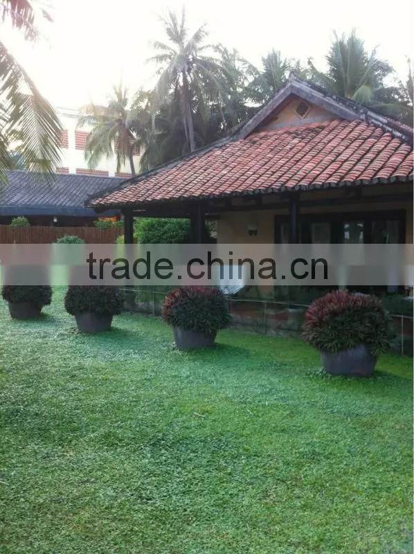 Vietnam poly flower pot for home and garden