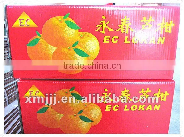 citrus fruits Orange Export Company