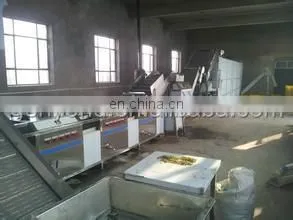 raisin cleaning machine for the raisin processing