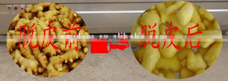 save labor brush roller type ginger /yams /potatoes washer with good price
