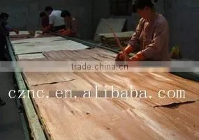poplar plywood