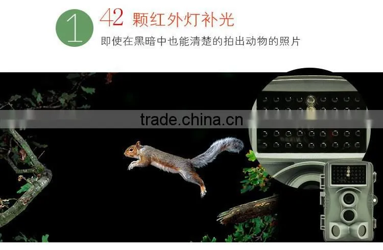 Full HD 12MP outdoor wildlife Hunting Game Cameras factory supplier Hunting Camera