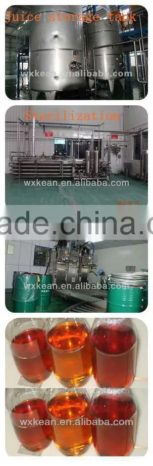 concentrated orange juice production line
