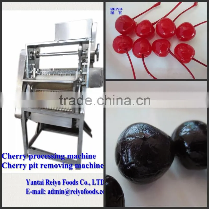 Fruits and vegetables processing machine