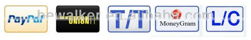 Fashional Design Multifunction Use Pad Cushion
