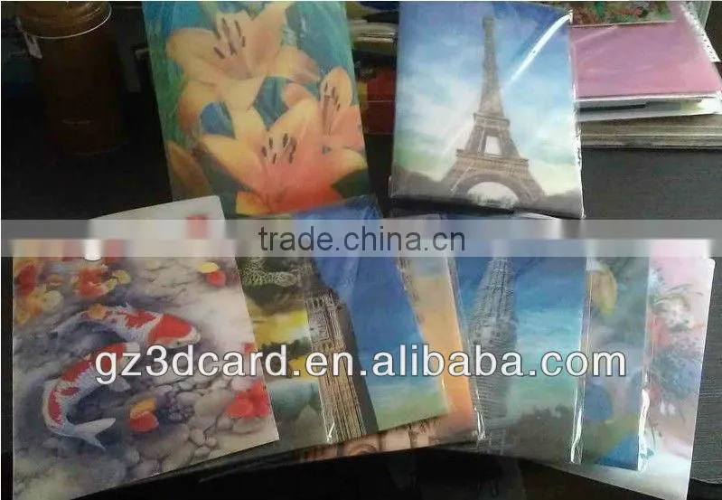 3D file folder Lenticular A4 file folder for school supplies