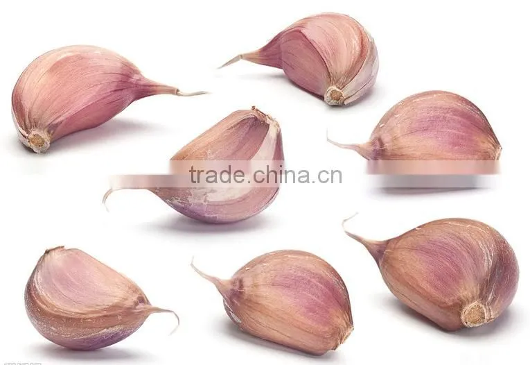 automatic garlic peeler machine/garlic stripper machine