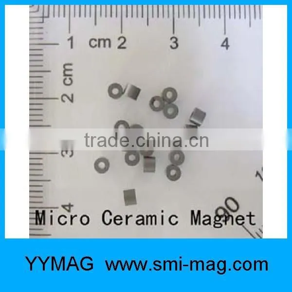 Tiny ring Micro magnet for Precision equipment