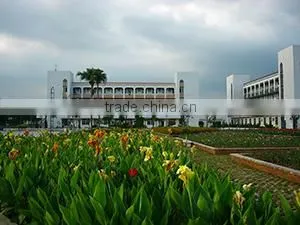 Jiangmen Real Green Lighting Company Limited company overview - view 2