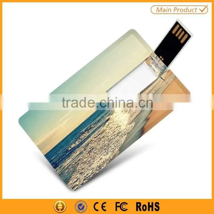 plastic custom business card usb flash drive 2GB