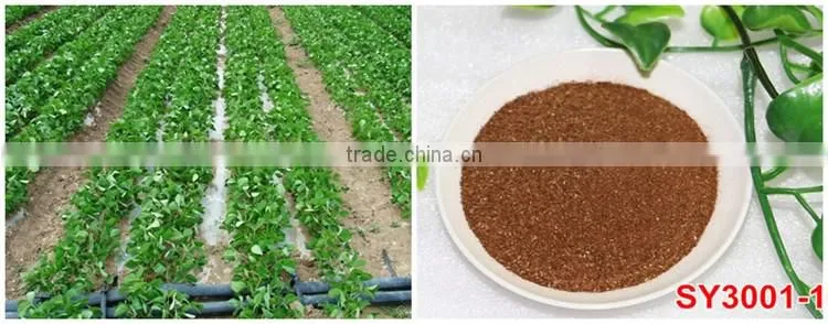 FAQ 12--Application Of Drip Irrigation Technique