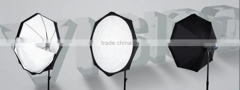 Factory Price Umbrella Softbox Photographic light Photo Equipment professional lighting beauty dish