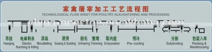 Poultry Chicken Automatic Eviscerating line, Evisceration Line for Poultry Goose Duck Broiler Chicken Slaughterhouse