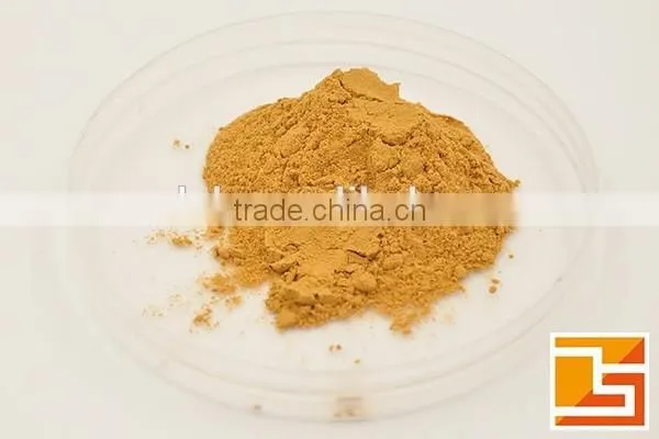 Elderberry extract with anthocyanidins