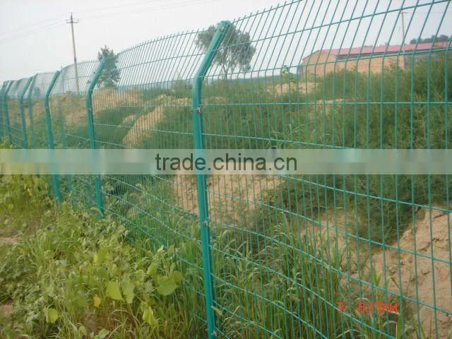 Wrought Iron Fence/Farm Fencing/Pool Fencing