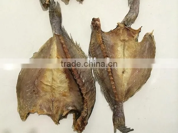 new wholesale dried brown croaker fish