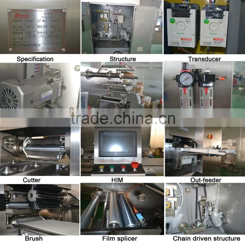 Automatic Rotary Candy Pouch Packing Machine Kd-450
