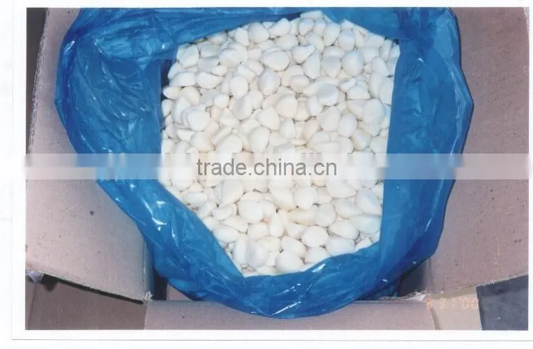 Good Qaulity IQF Peeled Garlic