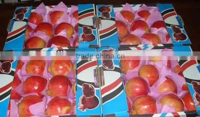 17 Ton / Container Of Fresh Pomegranates