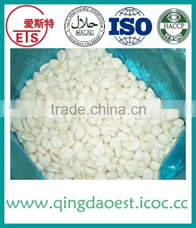 supply chinese jinxiang common galic to Singapoore